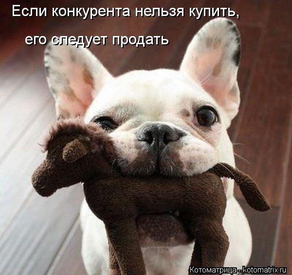 Если конкурента нельзя купить, его следует продать... Котоматрица: Если конкурента нельзя купить, его следует продать