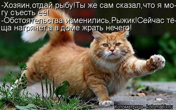-Хозяин,отдай рыбу!Ты же сам сказал,что я мо- гу съесть её! -Обстоятельства изменились,Рыжик!Сейчас т... Котоматрица: -Хозяин,отдай рыбу!Ты же сам сказал,что я мо- гу съесть её! -Обстоятельства изменились,Рыжик!Сейчас тё- ща нагрянет,а в доме жрать нечего!