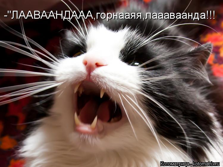 -"ЛААВААНДААА,горнааяя,лаааваанда!!!... Котоматрица: -"ЛААВААНДААА,горнааяя,лаааваанда!!!