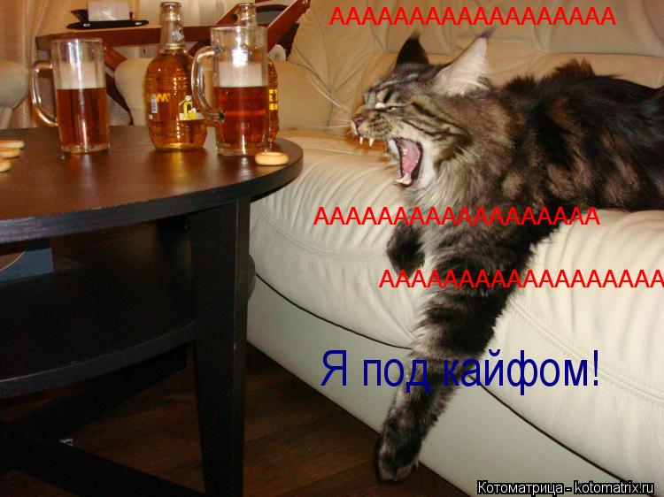 АААААААААААААААААА АААААААААААААААААА АААААААААААААААААА Я под кайфом!... Котоматрица: АААААААААААААААААА АААААААААААААААААА АААААААААААААААААА Я под кайфом!