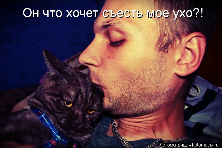 Он что хочет съесть мое ухо?!... Котоматрица: Он что хочет съесть мое ухо?!