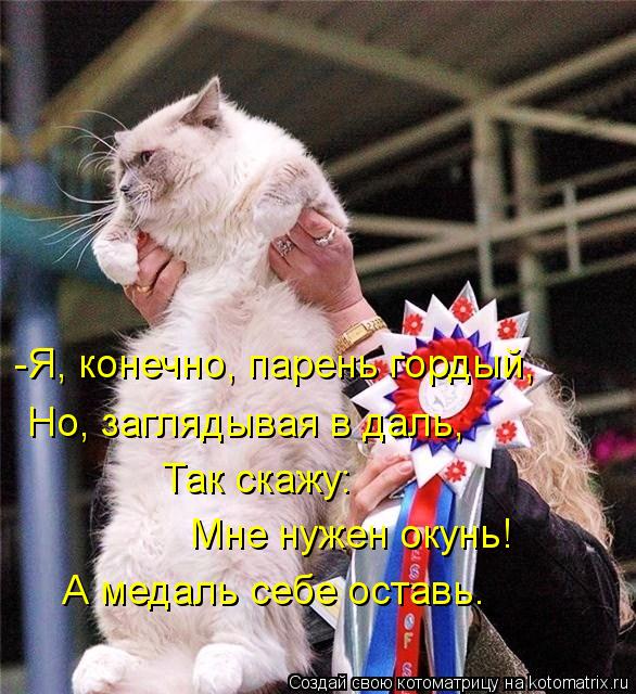 -Я, конечно, парень гордый, Но, заглядывая в даль, Так скажу: Мне нужен окунь! А медаль себе оставь.... Котоматрица: -Я, конечно, парень гордый, Но, заглядывая в даль, Так скажу: Мне нужен окунь! А медаль себе оставь.