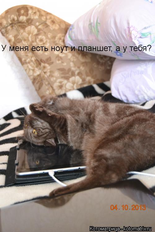 У меня есть ноут и планшет, а у тебя?... Котоматрица: У меня есть ноут и планшет, а у тебя?