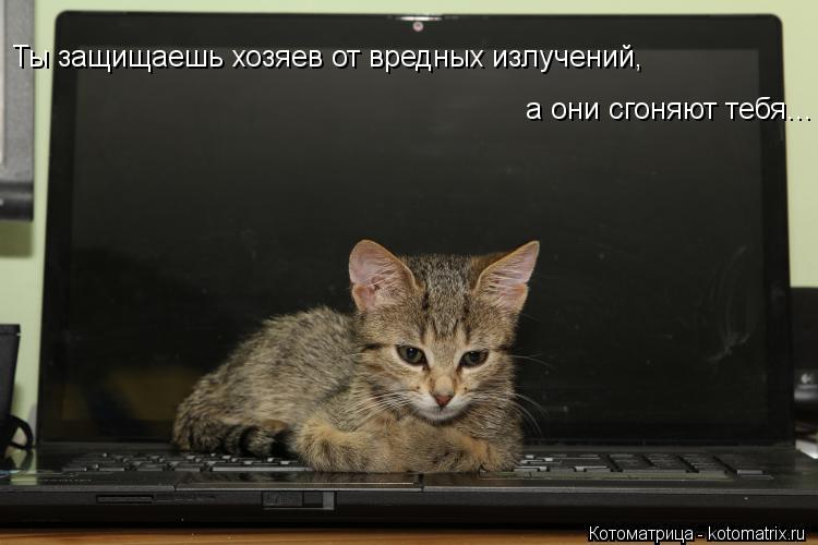 Ты защищаешь хозяев от вредных излучений, а они сгоняют тебя...... Котоматрица: Ты защищаешь хозяев от вредных излучений, а они сгоняют тебя...