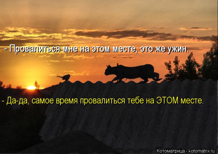 - Провалиться мне на этом месте, это же ужин. - Да-да, самое время провалиться тебе на ЭТОМ месте.... Котоматрица: - Провалиться мне на этом месте, это же ужин. - Да-да, самое время провалиться тебе на ЭТОМ месте.