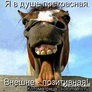Я в душе прекрасная. Внешне - позитивная!... Котоматрица: Я в душе прекрасная. Внешне - позитивная!