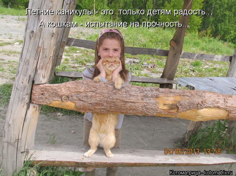 Летние каникулы - это только детям радость... А кошкам - испытание на прочность...... Котоматрица: Летние каникулы - это только детям радость... А кошкам - испытание на прочность...