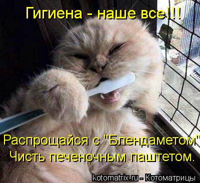 Гигиена - наше все!!! Распрощайся с "Блендаметом". Чисть печеночным паштетом.... Котоматрица: Гигиена - наше все!!! Распрощайся с "Блендаметом". Чисть печеночным паштетом.