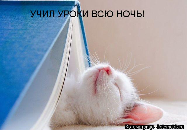 УЧИЛ УРОКИ ВСЮ НОЧЬ!... Котоматрица: УЧИЛ УРОКИ ВСЮ НОЧЬ!