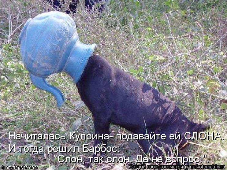 Начиталась Куприна- подавайте ей СЛОНА. И тогда решил Барбос: "Слон, так слон. Да не вопрос!".... Котоматрица: Начиталась Куприна- подавайте ей СЛОНА. И тогда решил Барбос: "Слон, так слон. Да не вопрос!".