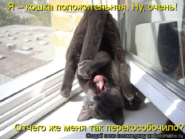 Отчего же меня так перекособочило? Я – кошка положительная. Ну, очень!... Котоматрица: Отчего же меня так перекособочило? Я – кошка положительная. Ну, очень!