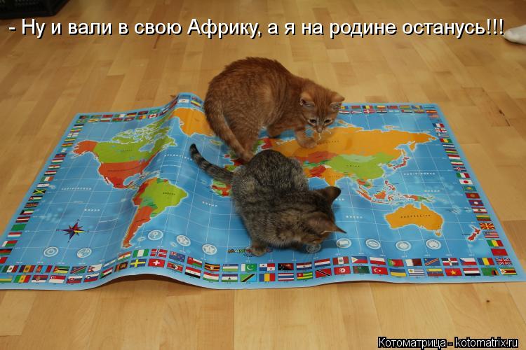 - Ну и вали в свою Африку, а я на родине останусь!!!... Котоматрица: - Ну и вали в свою Африку, а я на родине останусь!!!