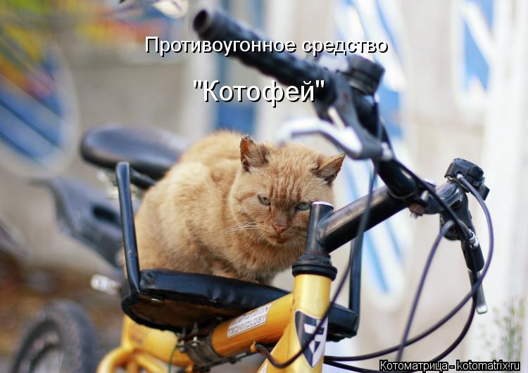 Противоугонное средство "Котофей"... Котоматрица: Противоугонное средство "Котофей"
