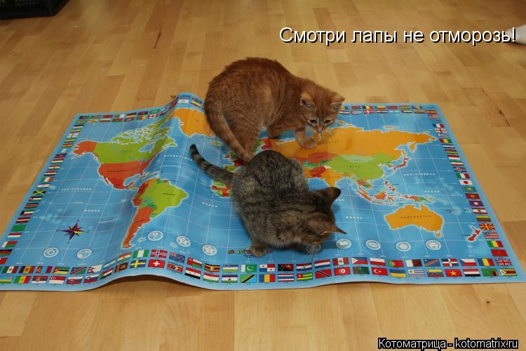 Смотри лапы не отморозь!... Котоматрица: Смотри лапы не отморозь!