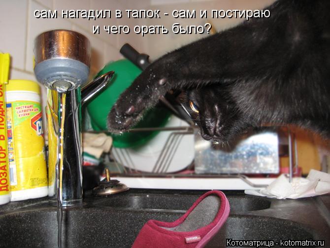 сам нагадил в тапок - сам и постираю и чего орать было?... Котоматрица: сам нагадил в тапок - сам и постираю и чего орать было?