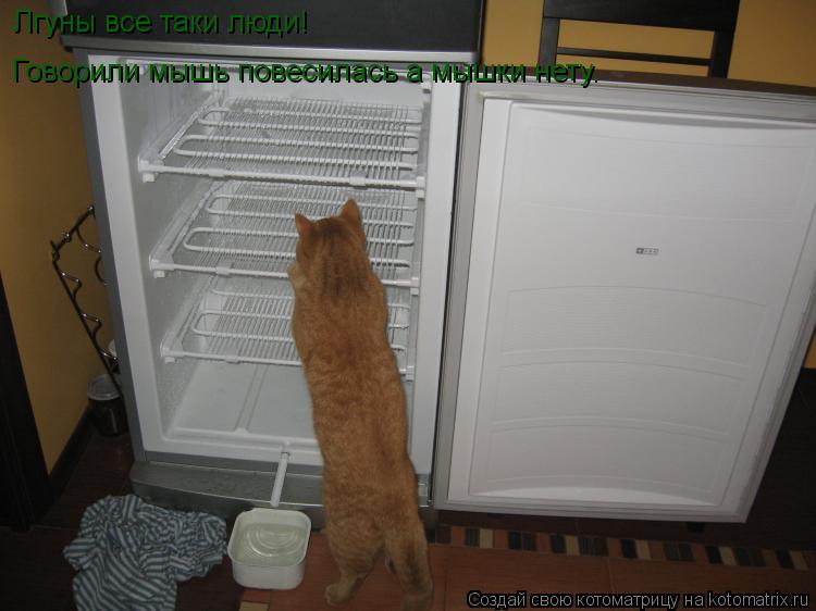 Лгуны все таки люди! Говорили мышь повесилась а мышки нету.... Котоматрица: Лгуны все таки люди! Говорили мышь повесилась а мышки нету.