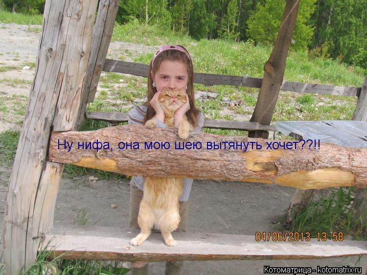 Ну нифа, она мою шею вытянуть хочет??!!... Котоматрица: Ну нифа, она мою шею вытянуть хочет??!!