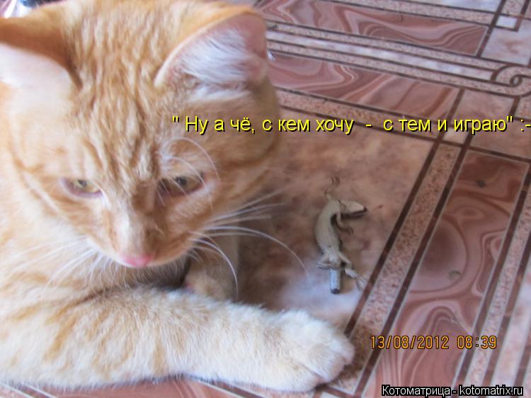 " Ну а чё, с кем хочу - с тем и играю" :-))... Котоматрица: " Ну а чё, с кем хочу - с тем и играю" :-))