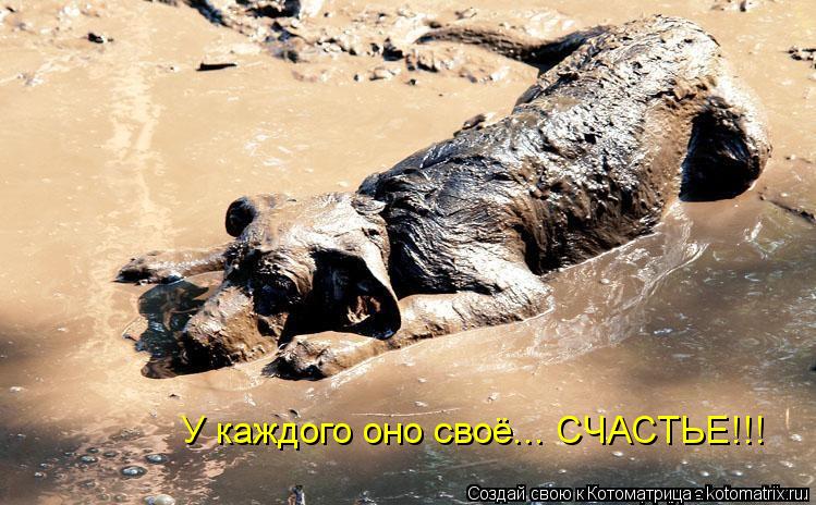 У каждого оно своё... СЧАСТЬЕ!!!... Котоматрица: У каждого оно своё... СЧАСТЬЕ!!!