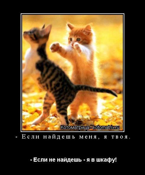 - Если найдешь меня, я твоя. - Если не найдешь - я в шкафу!... Котоматрица: - Если найдешь меня, я твоя. - Если не найдешь - я в шкафу!