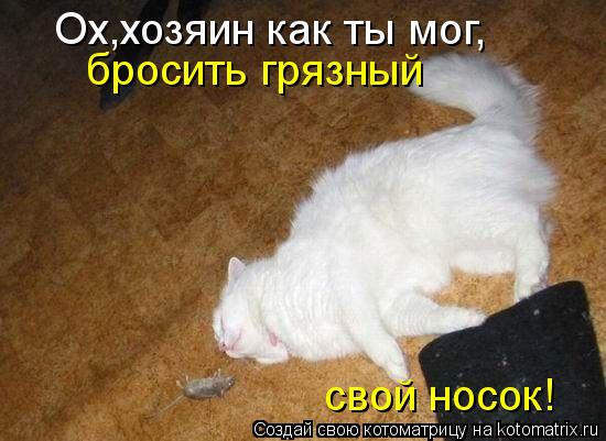 Ох,хозяин как ты мог, бросить грязный свой носок!... Котоматрица: Ох,хозяин как ты мог, бросить грязный свой носок!