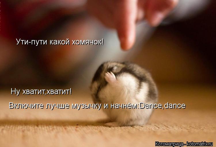 Ути-пути какой хомячок! Ну хватит,хватит! Включите лучше музычку и начнём:Dance,dance... Котоматрица: Ути-пути какой хомячок! Ну хватит,хватит! Включите лучше музычку и начнём:Dance,dance