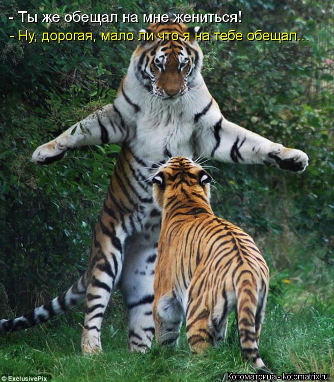 - Ты же обещал на мне жениться! - Ну, дорогая, мало ли что я на тебе обещал…... Котоматрица: - Ты же обещал на мне жениться! - Ну, дорогая, мало ли что я на тебе обещал…