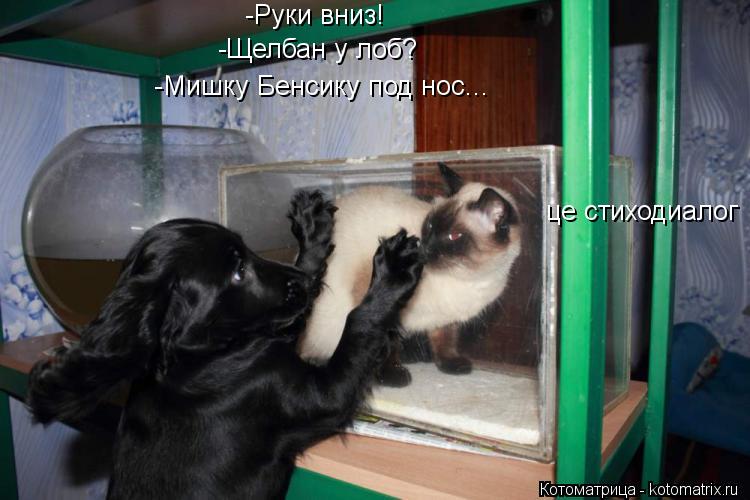 -Руки вниз! -Щелбан у лоб? -Мишку Бенсику под нос... це стиходиалог... Котоматрица: -Руки вниз! -Щелбан у лоб? -Мишку Бенсику под нос... це стиходиалог