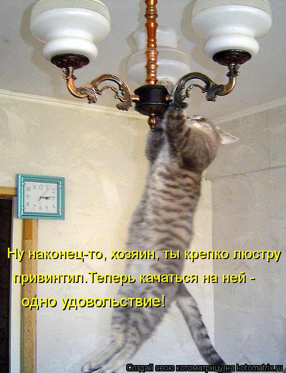 Ну наконец-то, хозяин, ты крепко люстру привинтил.Теперь качаться на ней - одно удовольствие!... Котоматрица: Ну наконец-то, хозяин, ты крепко люстру привинтил.Теперь качаться на ней - одно удовольствие!