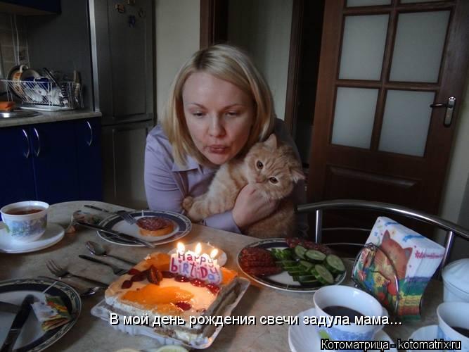 В мой день рождения свечи задула мама... В мой день рождения свечи задула мама...... Котоматрица: В мой день рождения свечи задула мама... В мой день рождения свечи задула мама...