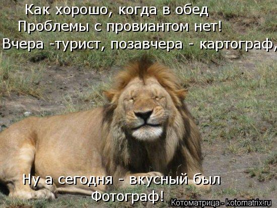 Фотограф! Ну а сегодня - вкусный был Как хорошо, когда в обед Проблемы с провиантом нет! Вчера -тури... Котоматрица: Фотограф! Ну а сегодня - вкусный был Как хорошо, когда в обед Проблемы с провиантом нет! Вчера -турист, позавчера - картограф,