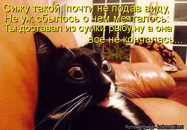 Ты доставал из сумки рыбу,ну а она Не уж сбылось о чем мечталось: Сижу такой, почти не подав виду, вс... Котоматрица: Ты доставал из сумки рыбу,ну а она Не уж сбылось о чем мечталось: Сижу такой, почти не подав виду, все не кончалась...