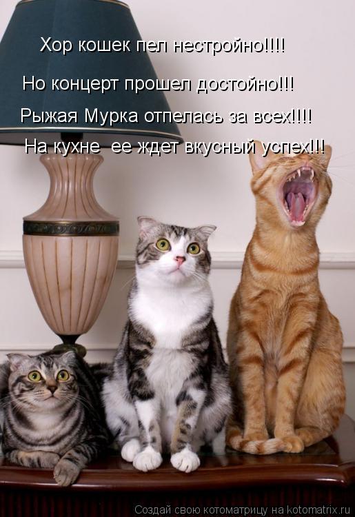 Хор кошек пел нестройно!!!! Но концерт прошел достойно!!! Рыжая Мурка отпелась за всех!!!! На кухне ... Котоматрица: Хор кошек пел нестройно!!!! Но концерт прошел достойно!!! Рыжая Мурка отпелась за всех!!!! На кухне ее ждет вкусный успех!!!