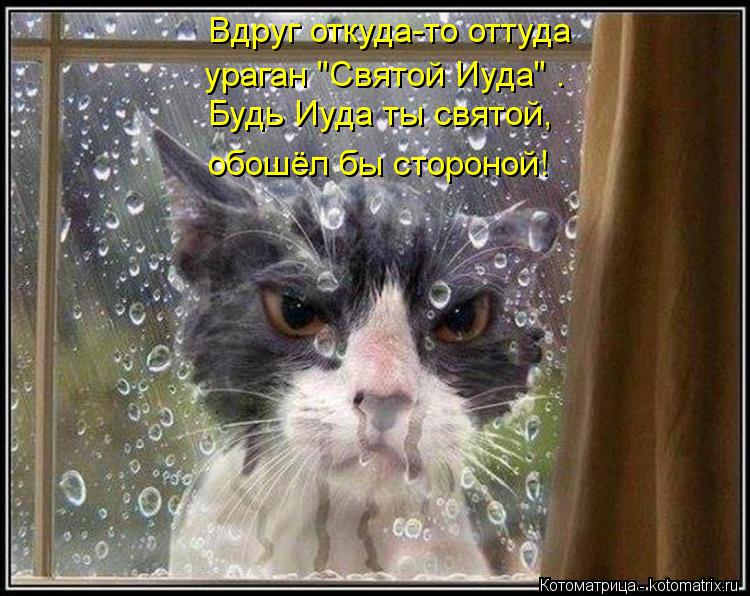 Вдруг откуда-то оттуда Будь Иуда ты святой, Будь Иуда ты святой, обошёл бы стороной! ураган "Свят... Котоматрица: Вдруг откуда-то оттуда Будь Иуда ты святой, Будь Иуда ты святой, обошёл бы стороной! ураган "Святой Иуда" .