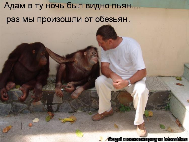 раз мы произошли от обезьян Адам в ту ночь был видно пьян.... .... Котоматрица: раз мы произошли от обезьян Адам в ту ночь был видно пьян.... .