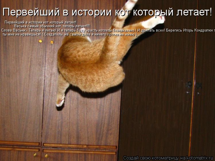 Первейший в истории кот который летает! Первейший в истории кот который летает! Васька самый обычний ... Котоматрица: Первейший в истории кот который летает! Первейший в истории кот который летает! Васька самый обычний кот, теперь летает!!!! Слова Васьки:- Теп