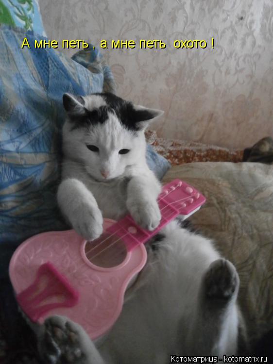 А мне петь , а мне петь охото !... Котоматрица: А мне петь , а мне петь охото !