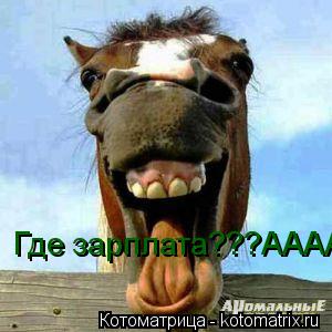Где зарплата???АААААА... Котоматрица: Где зарплата???АААААА