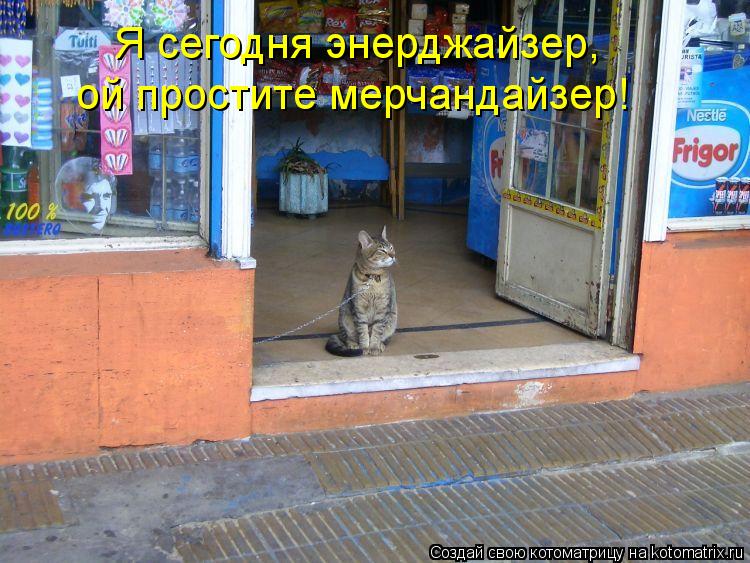 Я сегодня энерджайзер, ой простите мерчандайзер!... Котоматрица: Я сегодня энерджайзер, ой простите мерчандайзер!