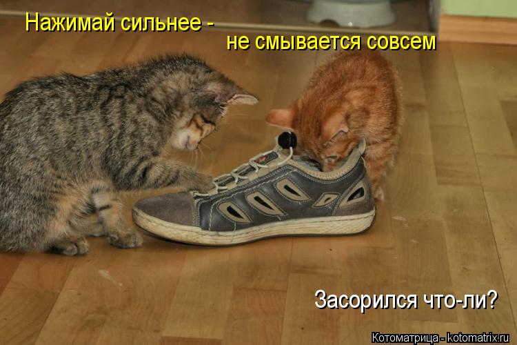 Нажимай сильнее - не смывается совсем Засорился что-ли?... Котоматрица: Нажимай сильнее - не смывается совсем Засорился что-ли?