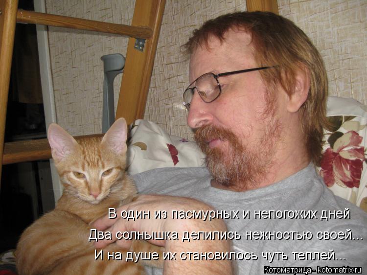 В один из пасмурных и непогожих дней Два солнышка делились нежностью своей... И на душе их становилос... Котоматрица: В один из пасмурных и непогожих дней Два солнышка делились нежностью своей... И на душе их становилось чуть теплей...