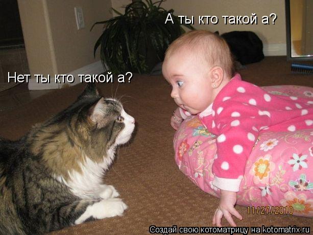 А ты кто такой а? Нет ты кто такой а?... Котоматрица: А ты кто такой а? Нет ты кто такой а?
