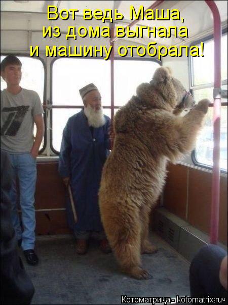 Вот ведь Маша, из дома выгнала и машину отобрала!... Котоматрица: Вот ведь Маша, из дома выгнала и машину отобрала!