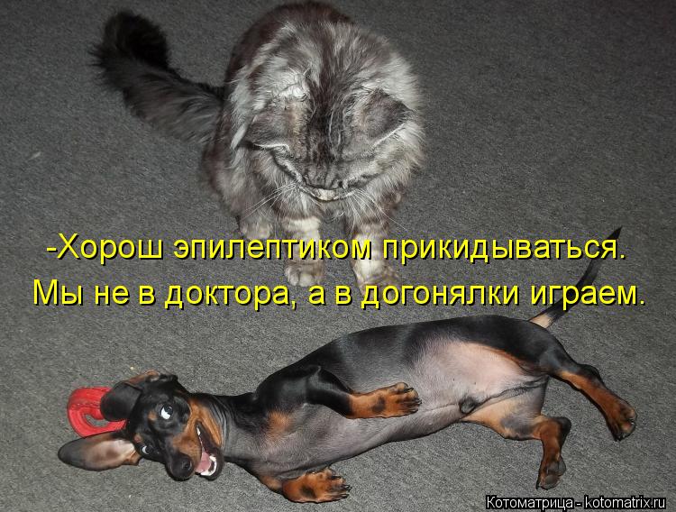 -Хорош эпилептиком прикидываться. Мы не в доктора, а в догонялки играем.... Котоматрица: -Хорош эпилептиком прикидываться. Мы не в доктора, а в догонялки играем.