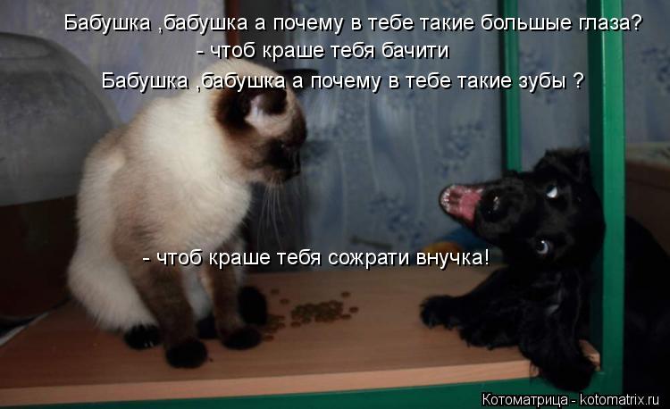 Бабушка ,бабушка а почему в тебе такие большые глаза? - чтоб краше тебя бачити Бабушка ,бабушка а поч... Котоматрица: Бабушка ,бабушка а почему в тебе такие большые глаза? - чтоб краше тебя бачити Бабушка ,бабушка а почему в тебе такие зубы ? - чтоб краше тебя с