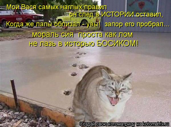 Мой Вася самых наглых правил он след в ИСТОРИИ оставил, Когда же лапы облизал - увы! запор его пробр... Котоматрица: Мой Вася самых наглых правил он след в ИСТОРИИ оставил, Когда же лапы облизал - увы! запор его пробрал... мораль сия проста как лом не лазь в и