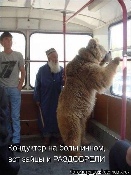 Кондуктор на больничном, вот зайцы и РАЗДОБРЕЛИ... Котоматрица: Кондуктор на больничном, вот зайцы и РАЗДОБРЕЛИ