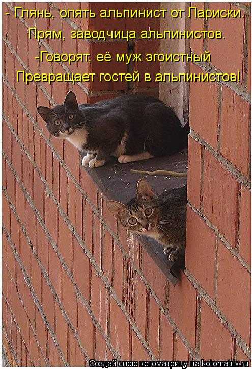- Глянь, опять альпинист от Лариски. Прям, заводчица альпинистов. -Говорят, её муж эгоистный Превращ... Котоматрица: - Глянь, опять альпинист от Лариски. Прям, заводчица альпинистов. -Говорят, её муж эгоистный Превращает гостей в альпинистов!