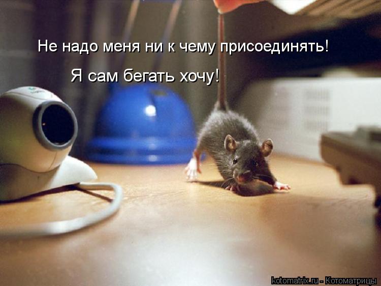 Не надо меня ни к чему присоединять! Я сам бегать хочу!... Котоматрица: Не надо меня ни к чему присоединять! Я сам бегать хочу!