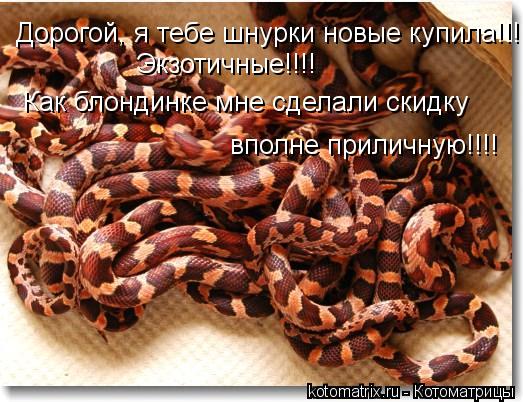 Дорогой, я тебе шнурки новые купила!!! Экзотичные!!!! Как блондинке мне сделали скидку вполне приличн... Котоматрица: Дорогой, я тебе шнурки новые купила!!! Экзотичные!!!! Как блондинке мне сделали скидку вполне приличную!!!!